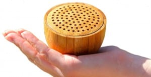 portable Bluetooth speaker