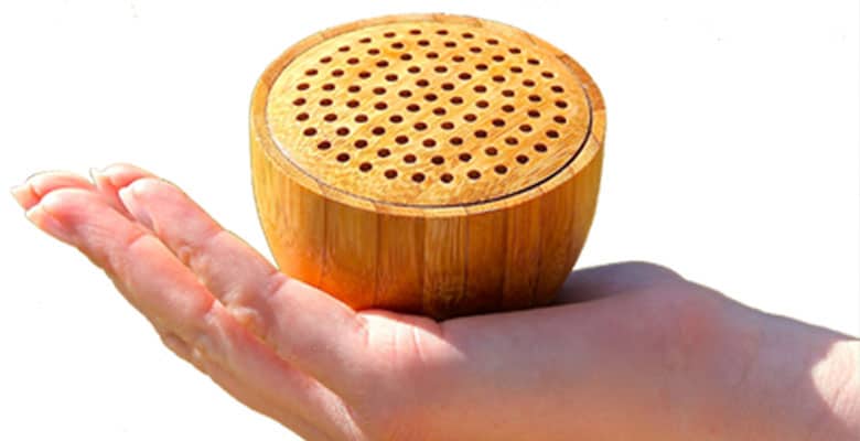 portable Bluetooth speaker